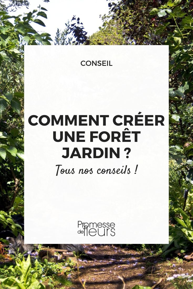 How to create a forest garden Create edible forest garden