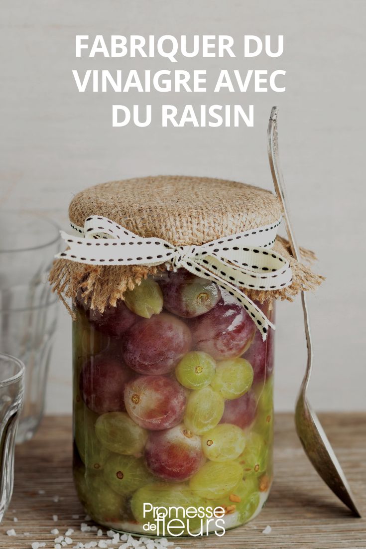 grape vinegar production