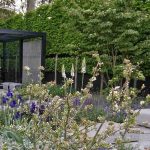 Perennial plants that tolerate drought and heat for a contemporary garden