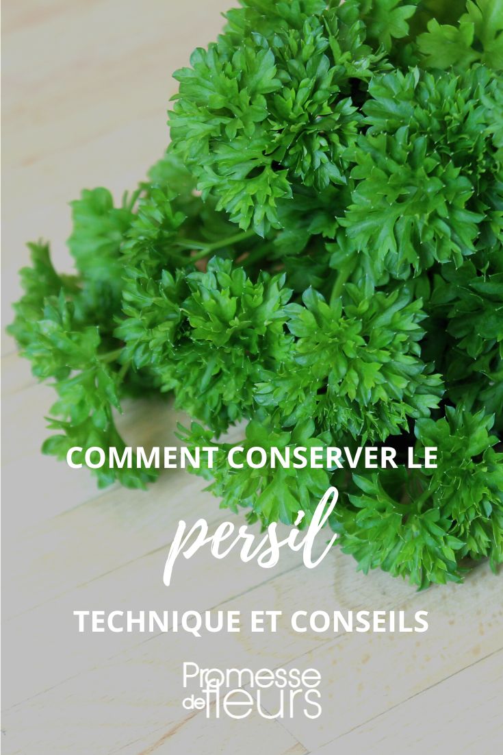 [plant id="persil"]