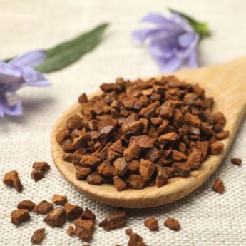 Chicory: cultivation, benefits and uses