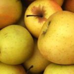 The best cooking apple varieties