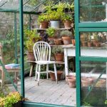 Autumn cleaning of the greenhouse