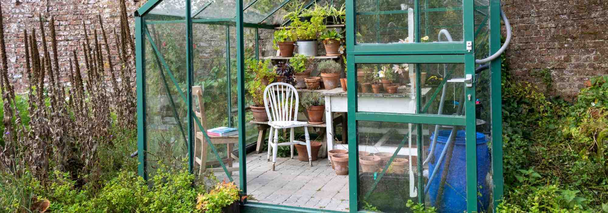 Autumn cleaning of the greenhouse