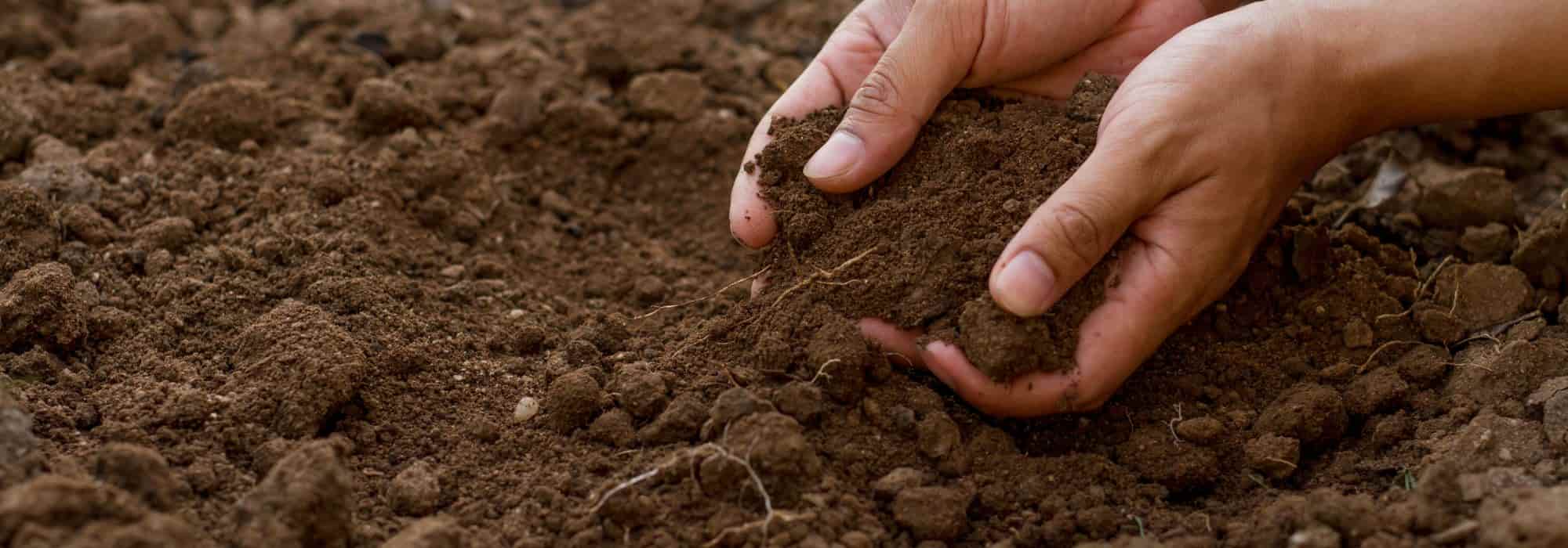 Should you work the soil in winter?