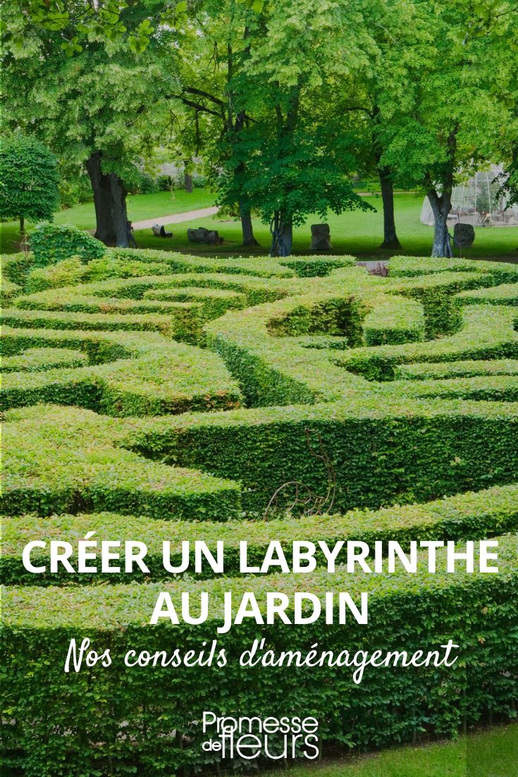 [plantes type="labyrinthe" utilisation="jardin"]
[construire type="labyrinthe"]
[amenager type="labyrinthe"]