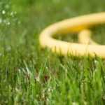 Protecting irrigation systems from frost