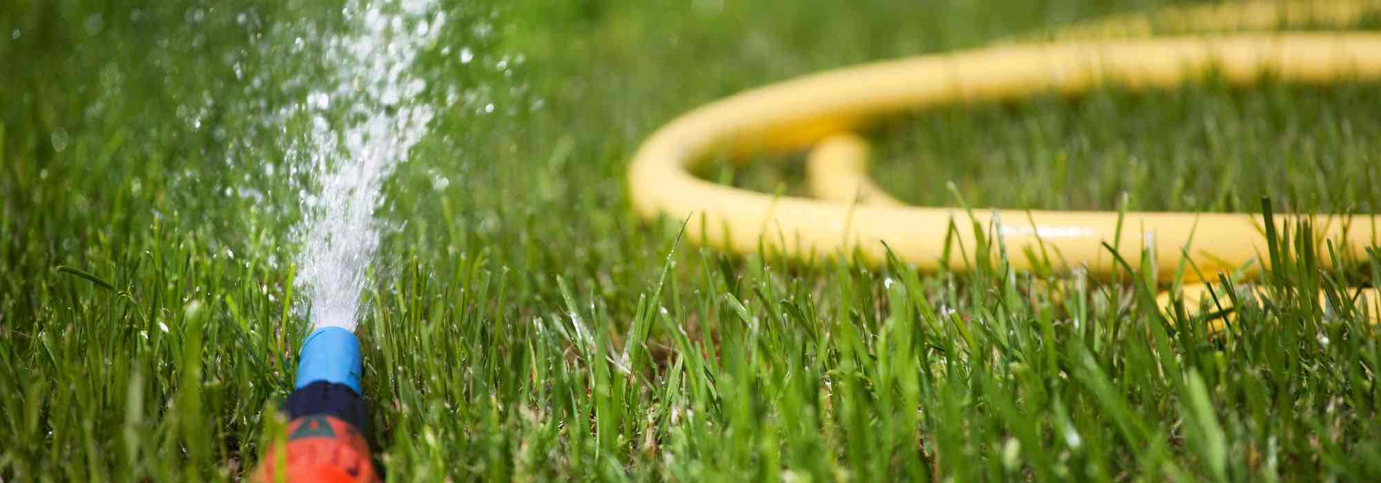 Protecting irrigation systems from frost