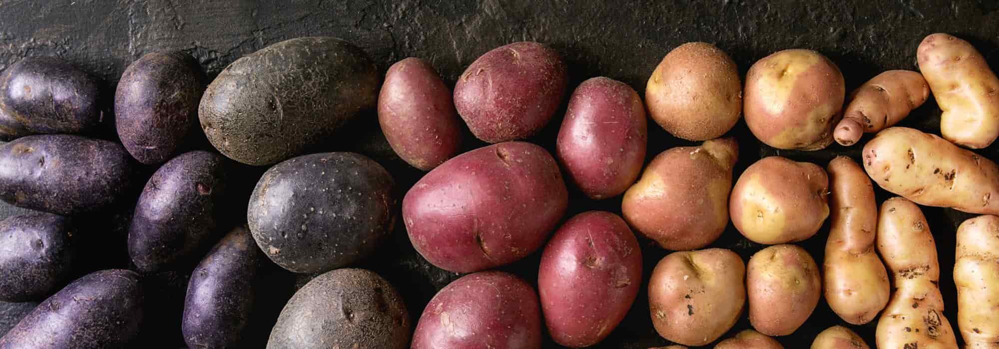 Original and Colourful Potatoes