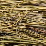 Zero waste: what to do with branches in the garden?