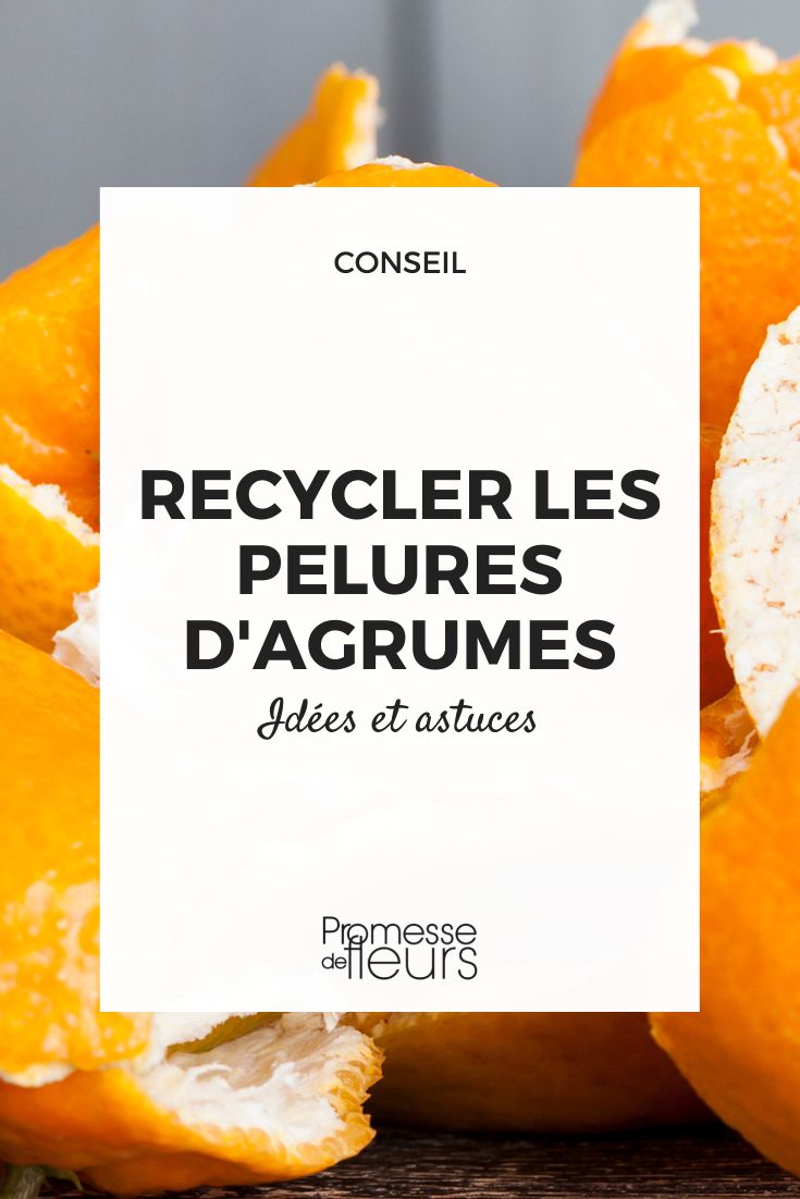 recycle citrus peels