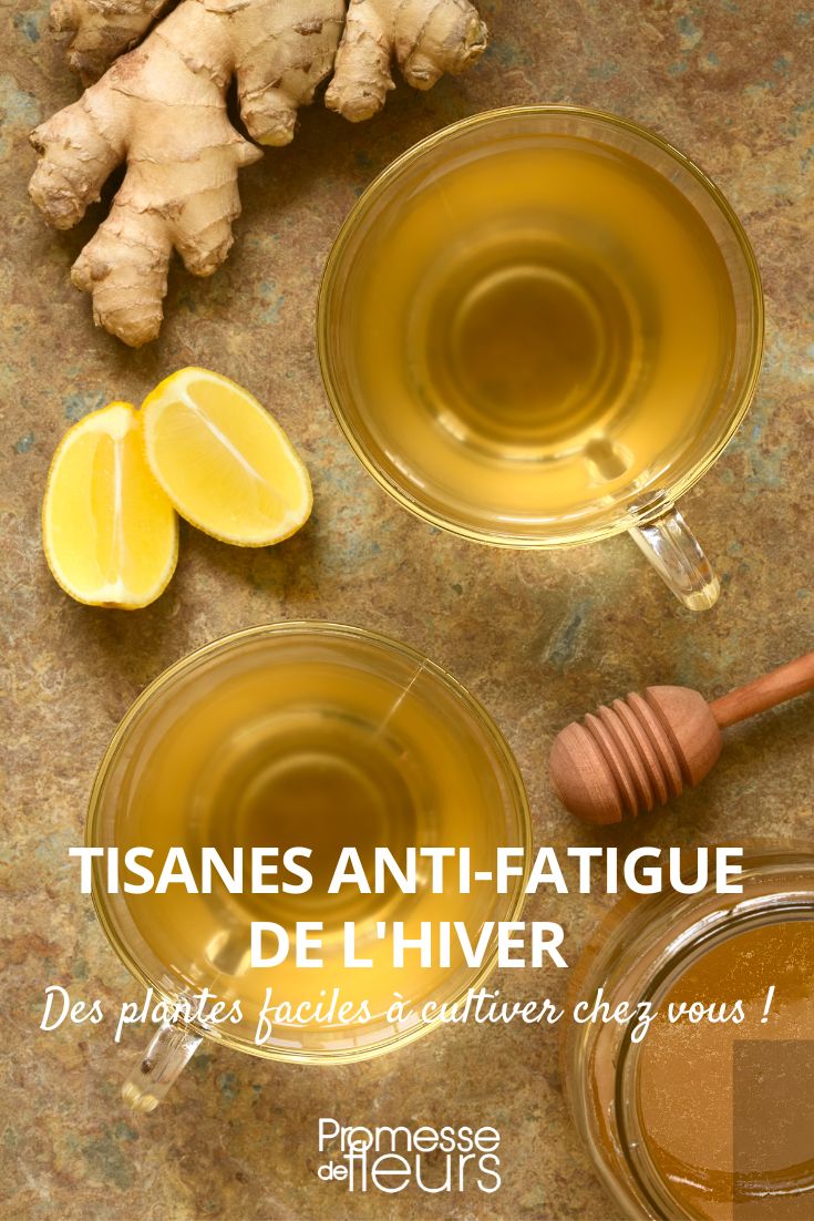 [tisane nom="anti-fatigue"]