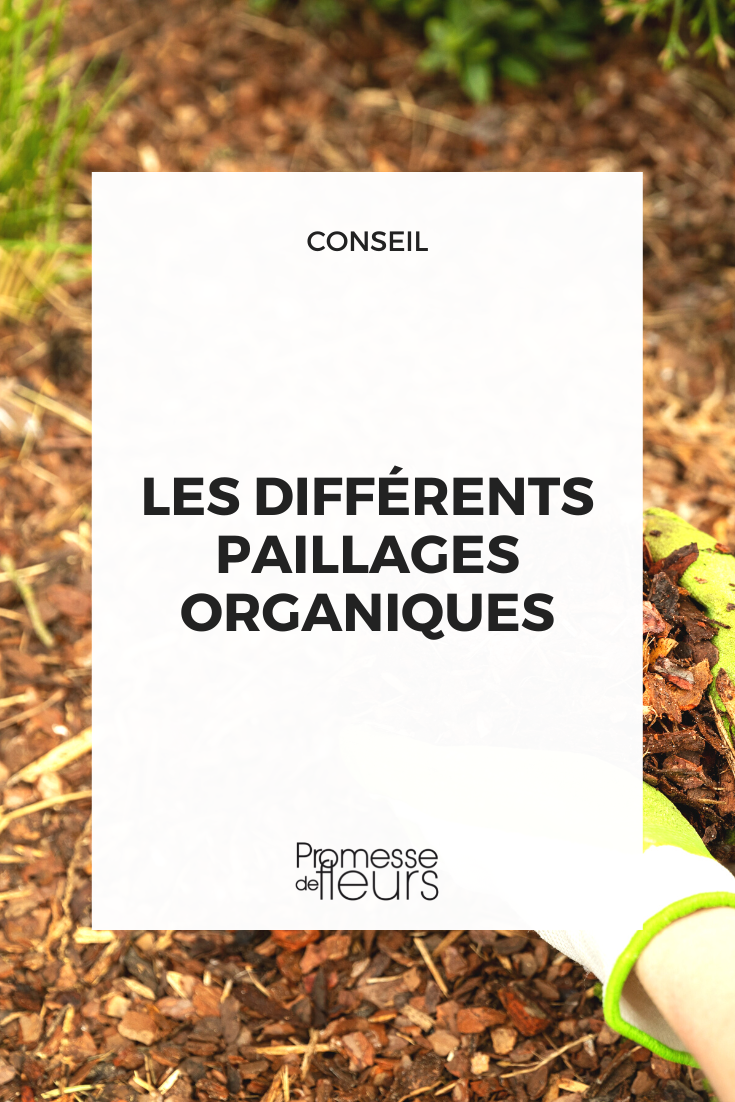 The different organic mulches Plant-based mulch