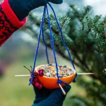How to make a bird feeder with oranges?
