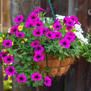 How to make a hanging flower arrangement?