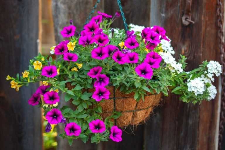 How to make a hanging flower arrangement?