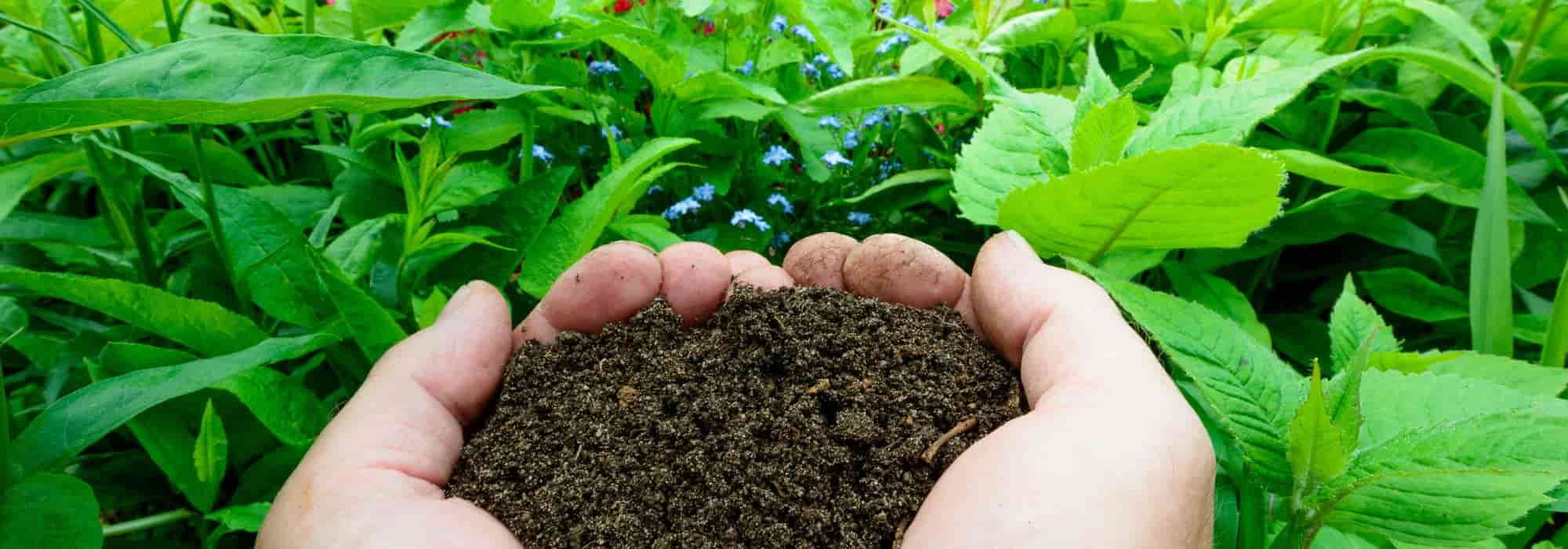Hot composting: simple and quick