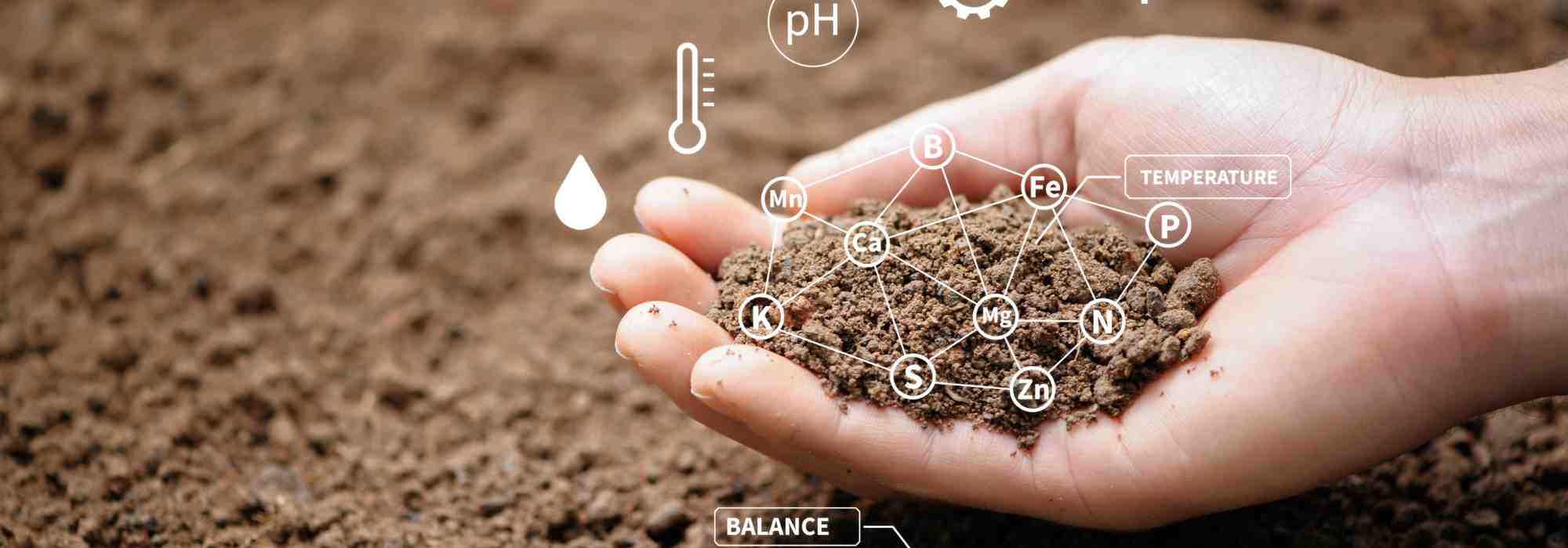 How to recognise polluted soil in your garden?