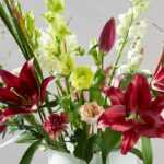 6 summer bulbs for creating cut flower arrangements