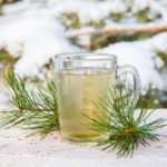 How to make pine-needle tisane

1. Choose needles
- Use needles from edible pine species such as Pinus sylvestris, Pinus strobus or Pinus mugo.  
- Do not use yew (Taxus) or any tree you cannot identify. Avoid trees treated with pesticides or growing beside busy roads.

2. Harvesting and preparation
- Pick fresh, young needles (new growth in spring has best flavour).  
- Rinse needles under cold water to remove dust and insects.  
- Remove any brown or damaged needles and woody parts.  
- Chop or bruise needles lightly to release oils.

3. Quantities
- Use about 1 tablespoon (3–5 g) chopped needles per 250 ml water for a mild infusion. Use 2–3 tablespoons for stronger flavour.

4. Brewing
- Bring water to the boil.  
- Pour boiling water over needles in a teapot or cup, cover and steep 5–10 minutes (shorter steep preserves more vitamin C and fresher aroma). For a stronger, more resinous drink you can simmer gently for 3–5 minutes, but avoid prolonged boiling.

5. Serve
- Strain into cup. Add honey, lemon or a sprig of mint to taste. Pine-needle tisane has a fresh, resinous, slightly citrusy flavour.

6. Storage
- Best consumed fresh. Keep refrigerated and use within 24–48 hours if necessary.

7. Safety and cautions
- If unsure of species, do not consume.  
- Limit intake and avoid regular large doses. Pine-needle tisane is traditionally used occasionally rather than daily.  
- Avoid during pregnancy and breastfeeding and if you have high blood pressure, kidney disease or take prescription medication without consulting a healthcare professional.  
- Stop use and seek advice if allergic reaction or digestive upset occurs.

Enjoy pine-needle tisane in moderation and always ensure correct identification of tree before harvesting.