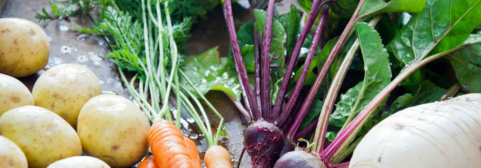 Colourful root vegetables