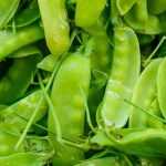 Growing sugar snap peas or snow peas