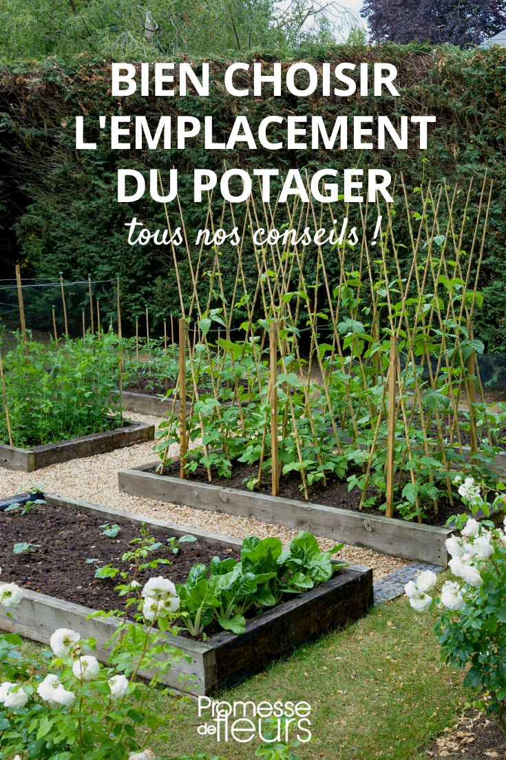 [title]How to Properly Layout Your Vegetable Garden

[dropcap]W[/dropcap]hen it comes to [link url="https://www.promessedefleurs.com/jardin/potager/"]vegetable gardening[/link], the layout of your garden is crucial for its success. Here are some tips to help you make the most of your vegetable patch:

[subtitle]1. Sunlight Exposure[/subtitle]
Make sure your vegetable garden receives at least [highlight]6 hours[/highlight] of sunlight per day. Place taller plants on the northern side to avoid shading smaller ones.

[subtitle]2. Plant Spacing[/subtitle]
Follow the recommended spacing between plants to ensure they have enough room to grow and receive adequate nutrients.

[subtitle]3. Companion Planting[/subtitle]
Consider [highlight]companion planting[/highlight] to naturally repel pests and improve pollination. For example, planting [link url="https://www.promessedefleurs.com/jardin/potager/legumes/"]marigolds[/link] near tomatoes can help deter pests.

[subtitle]4. Crop Rotation[/subtitle]
Rotate your crops each year to prevent soil depletion and reduce the risk of pests and diseases building up in the soil.

[subtitle]5. Access Paths[/subtitle]
Create paths between your vegetable beds to allow easy access for planting, weeding, and harvesting. This will also prevent soil compaction.

By following these tips, you can ensure a well-organized and productive vegetable garden that will provide you with a bountiful harvest throughout the growing season. Happy gardening!