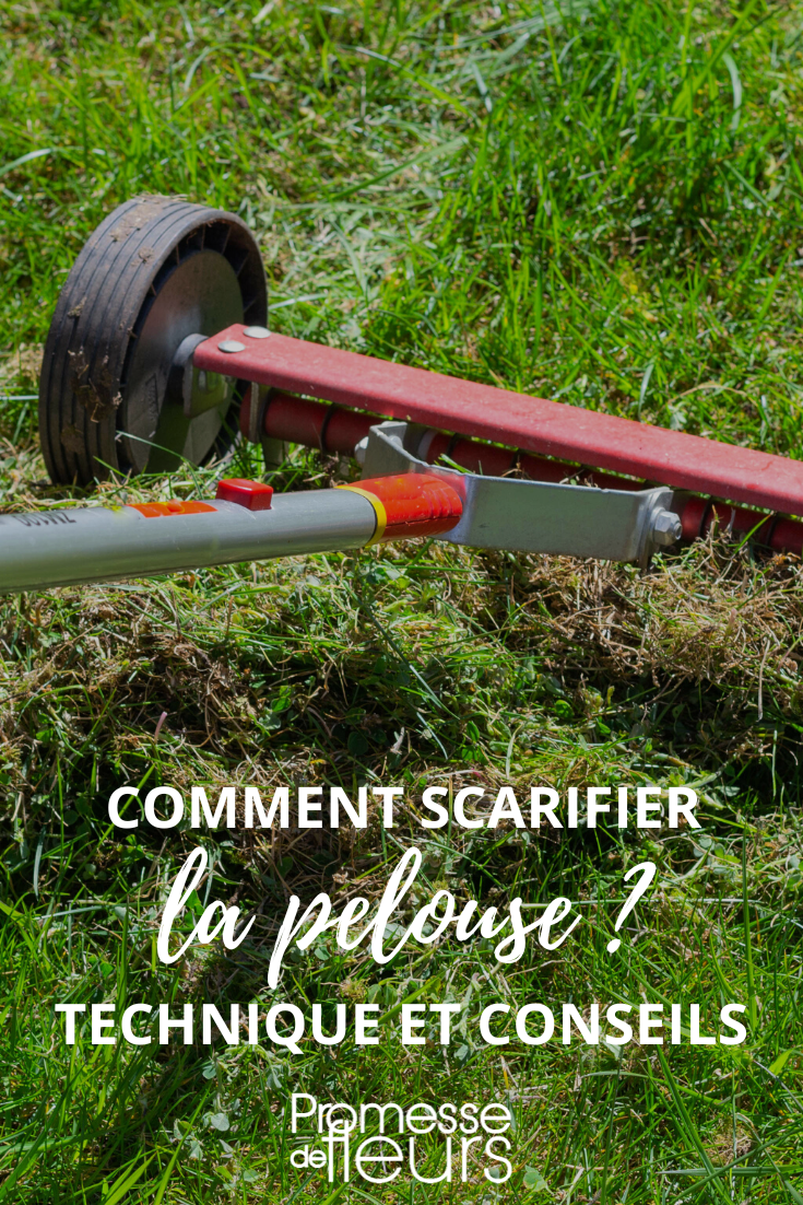Scarification and Maintenance of the Short Grass Meadow