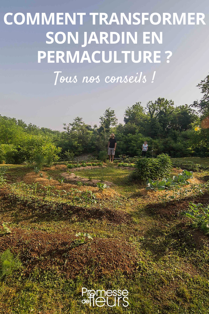 How to Transform Your Garden into a Permaculture Haven permaculture