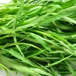 Growing aquatic spinach