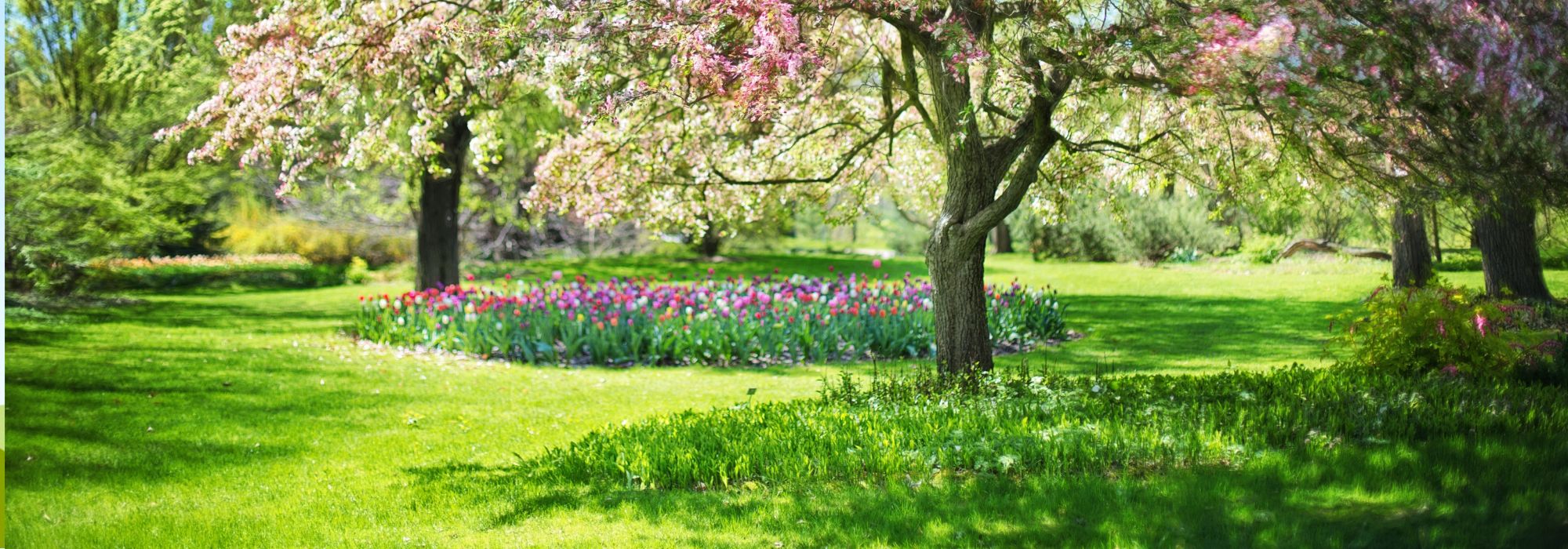 Do not prune these plants in spring