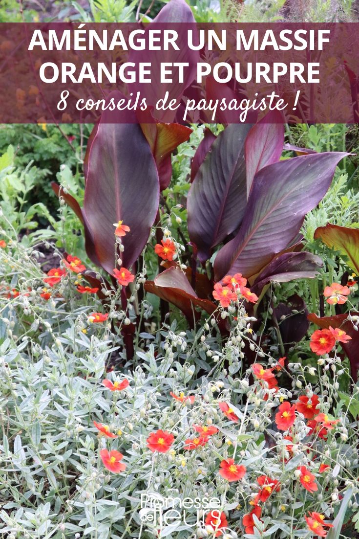 Orange and Purple Garden Composition