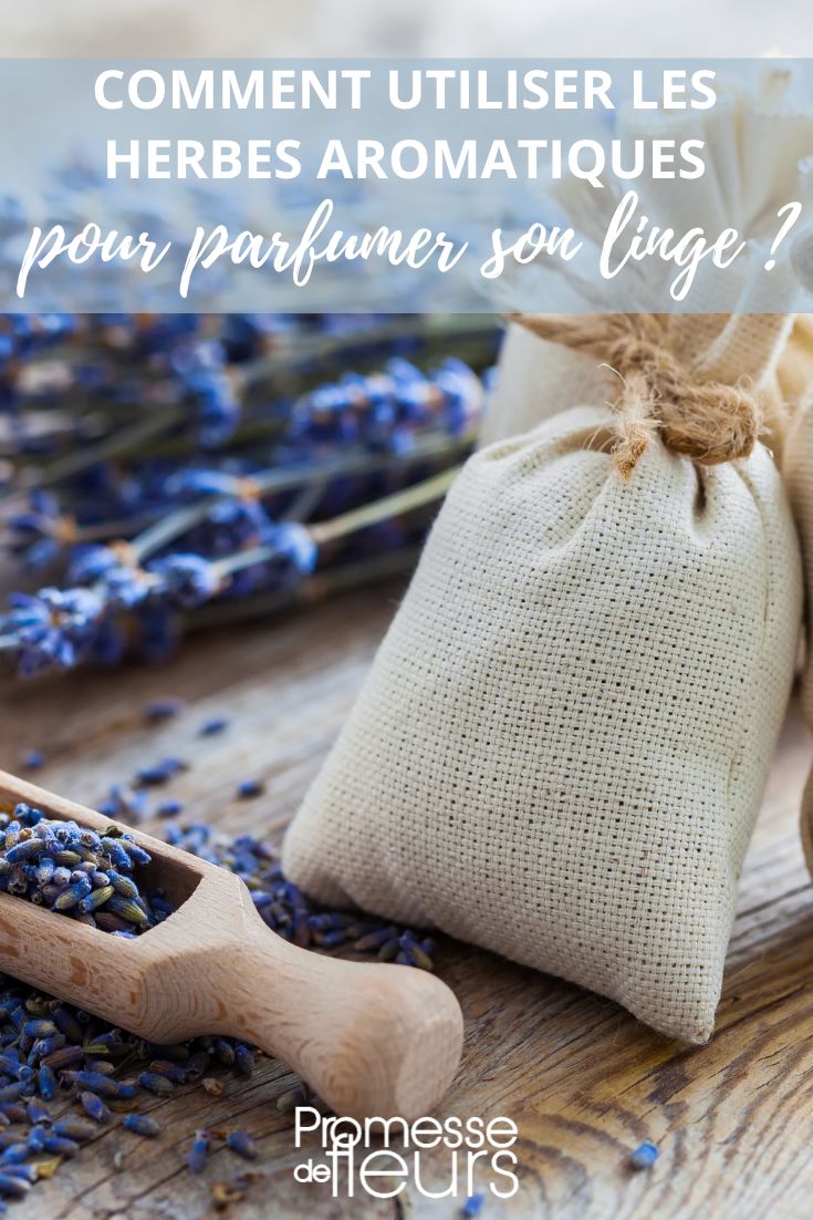 dried plants for linen fragrance
