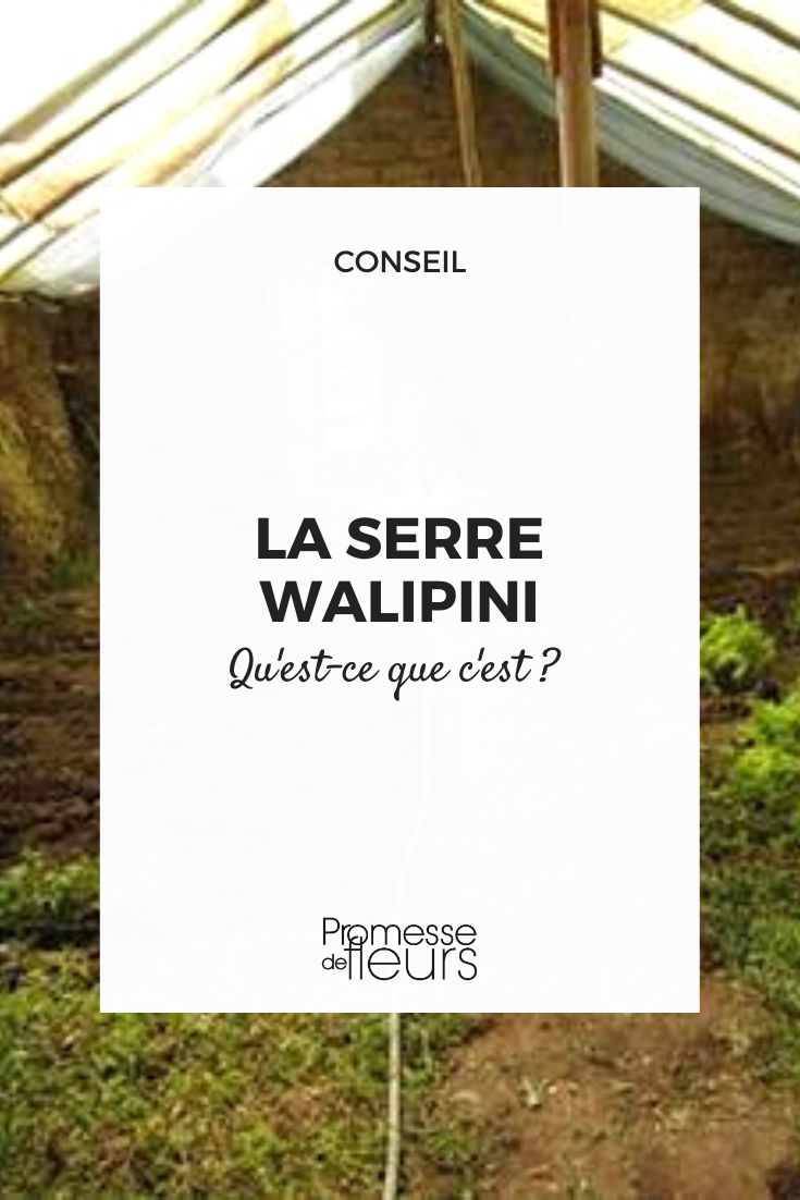 The Walipini Greenhouse Semi-inground greenhouse