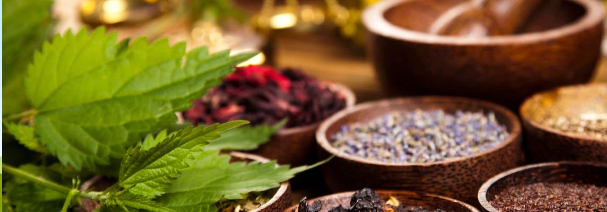 10 medicinal plants to combat headaches