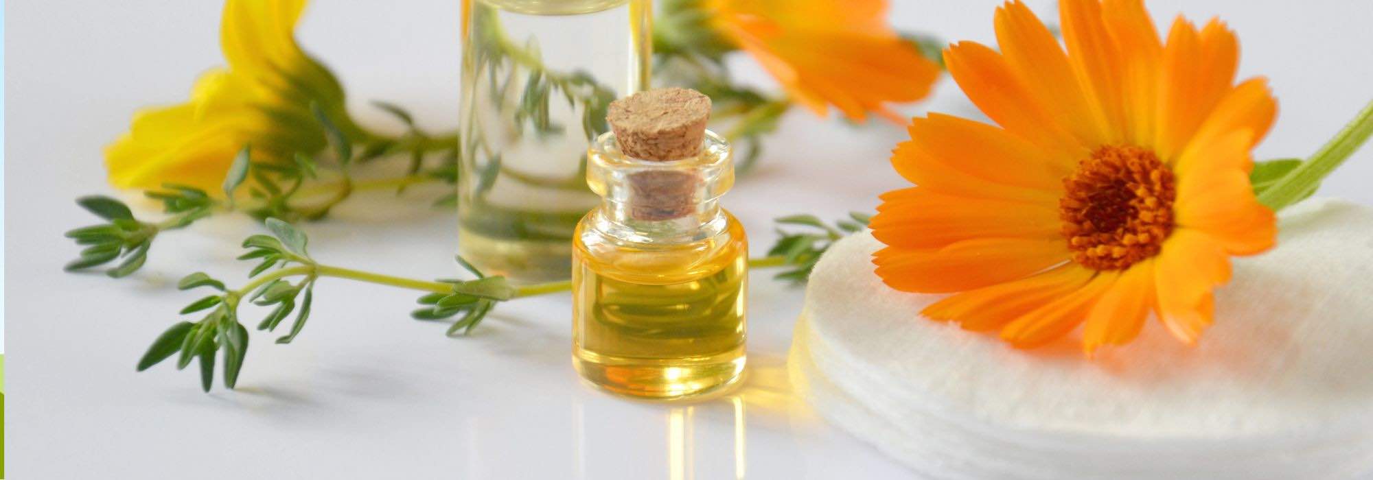 7 medicinal plants for beautiful skin