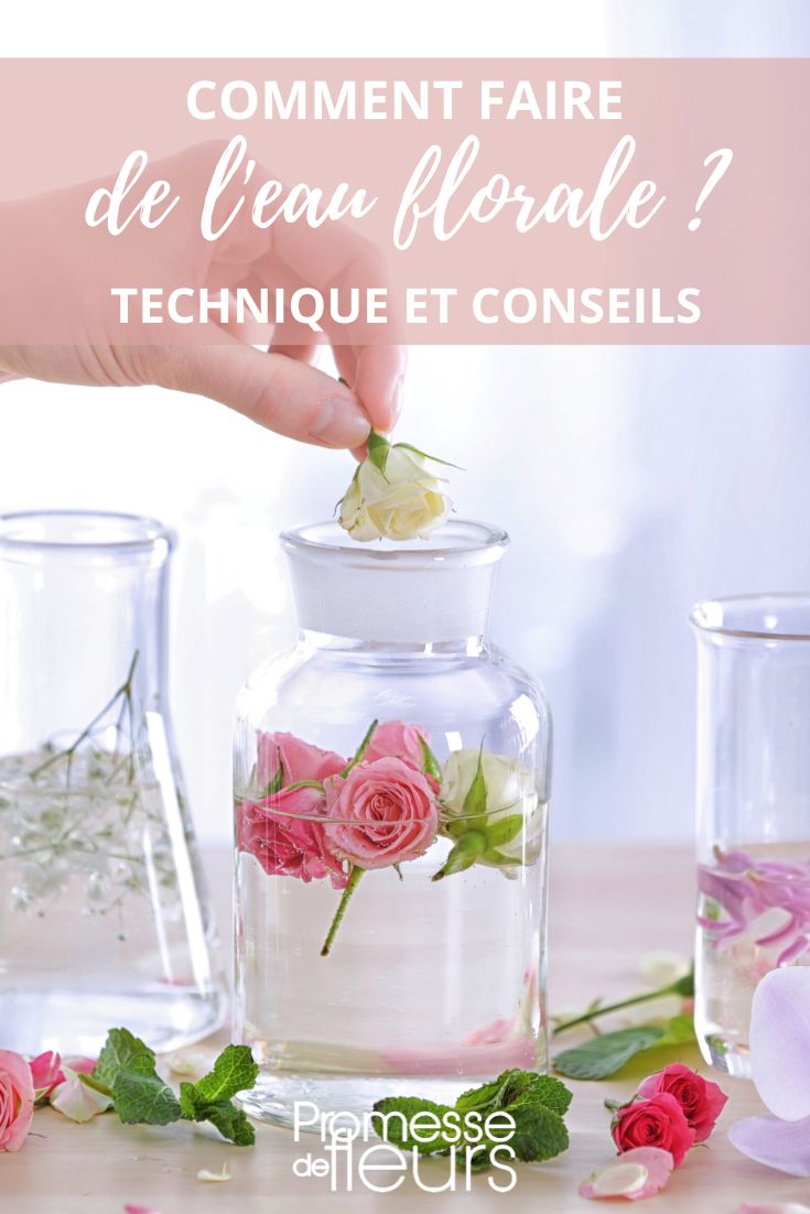 Making Flower Water