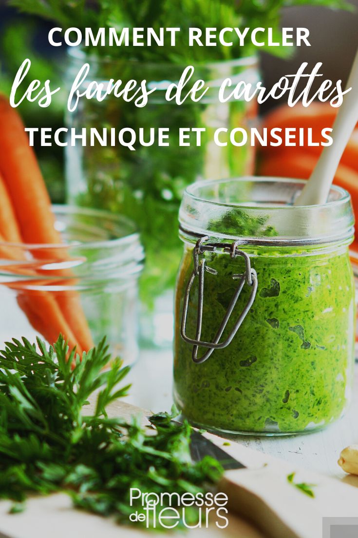 Carrot Top Soup and Pesto