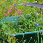 Mowing a flower meadow or a grassy area