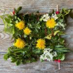 How to create a plant frame with children?