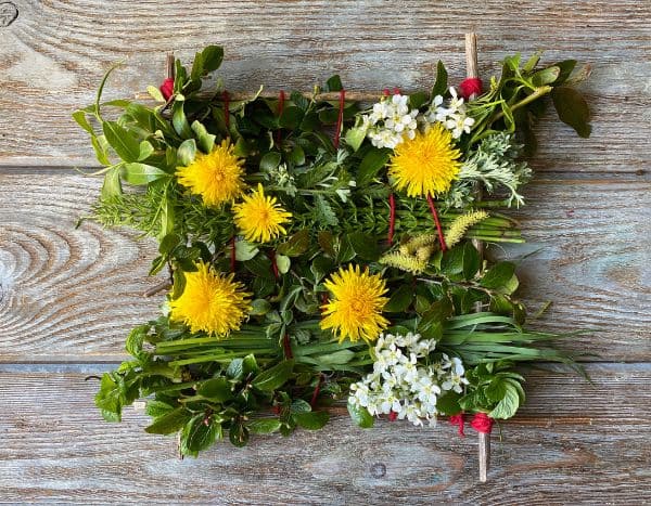 How to create a plant frame with children?