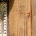 Survival guide for the garden in summer