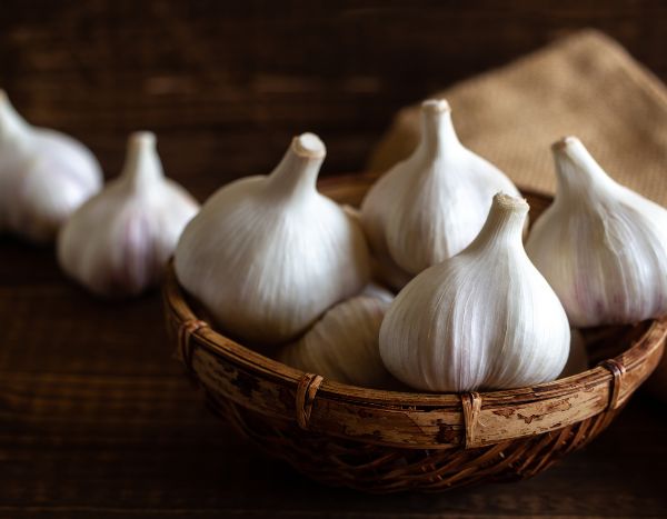 How to harvest and store garlic?