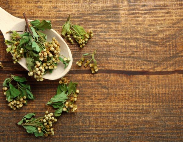 How to make hawthorn tea?