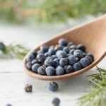 How to dry and store Juniper berries?