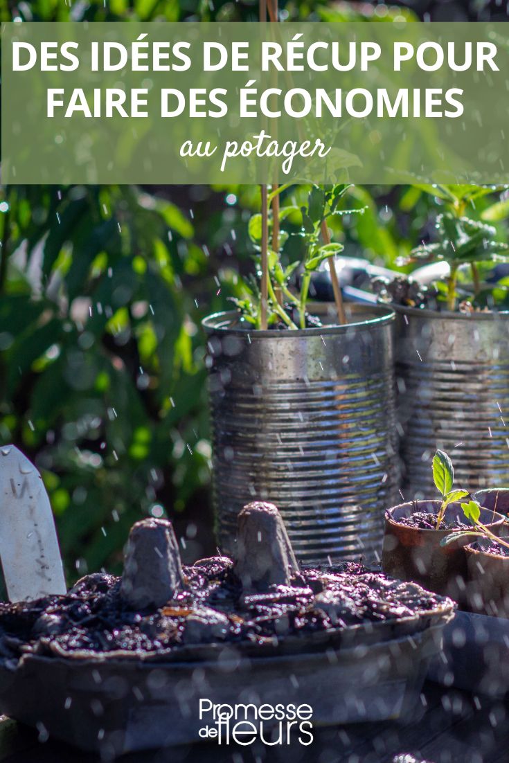 Ideas for recycling to save money in the vegetable garden upcycling in the vegetable garden