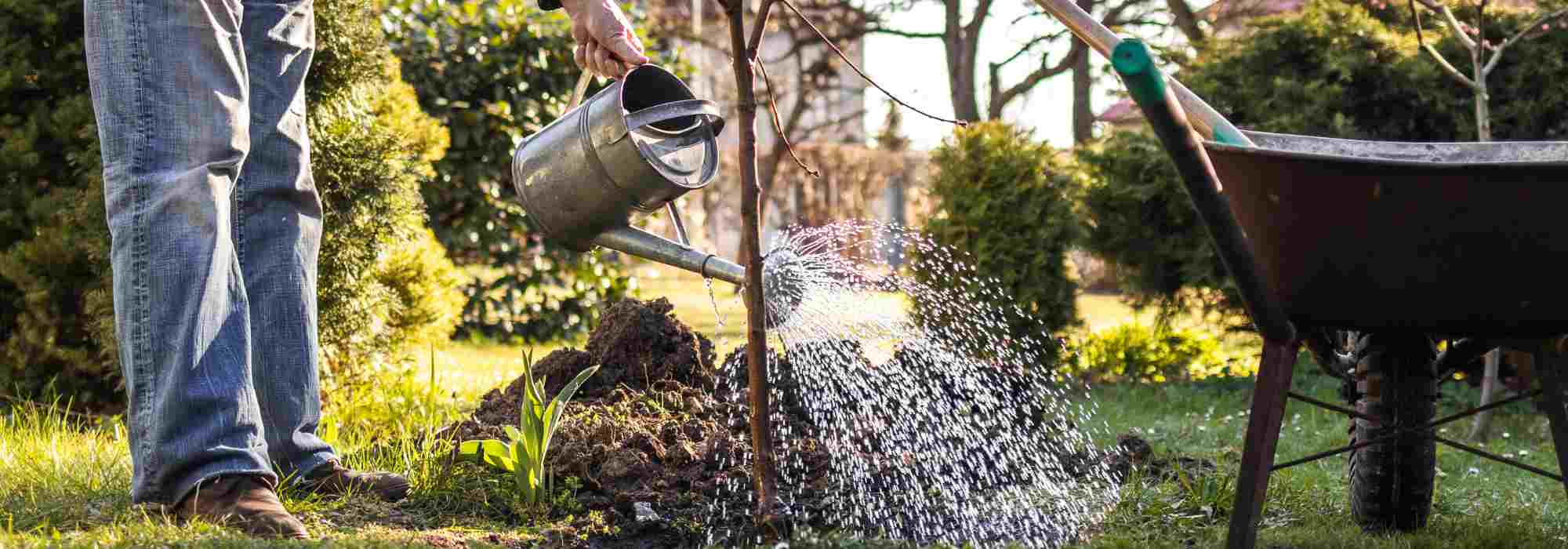 The best times to plant