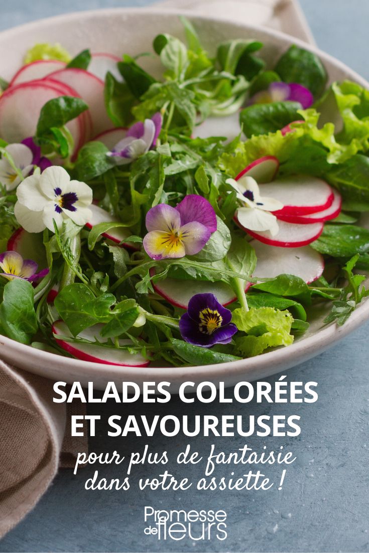 Colourful salads and edible flowers