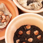 When and how to divide spring bulbs?
