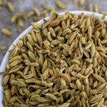 How to harvest and store fennel seeds?